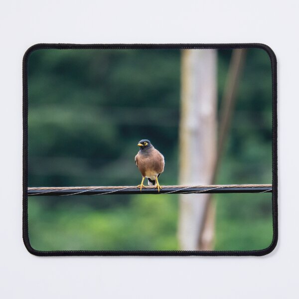 Item preview, Mynah on a wire designed and sold by Keola Makaiau.