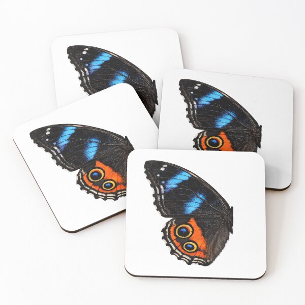 Item preview, Half Butterfly – Transforming Wings Aesthetic PNG designed and sold by Genzfirevibes.