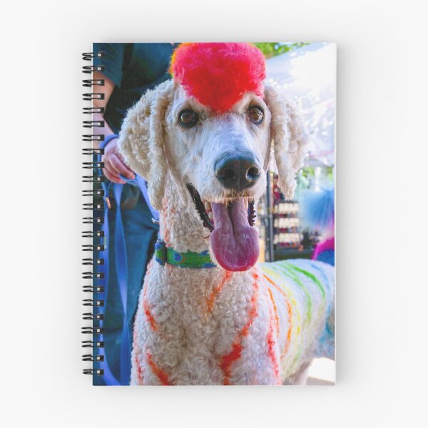 Item preview, Pride Pup designed and sold by NoaHasACamera.