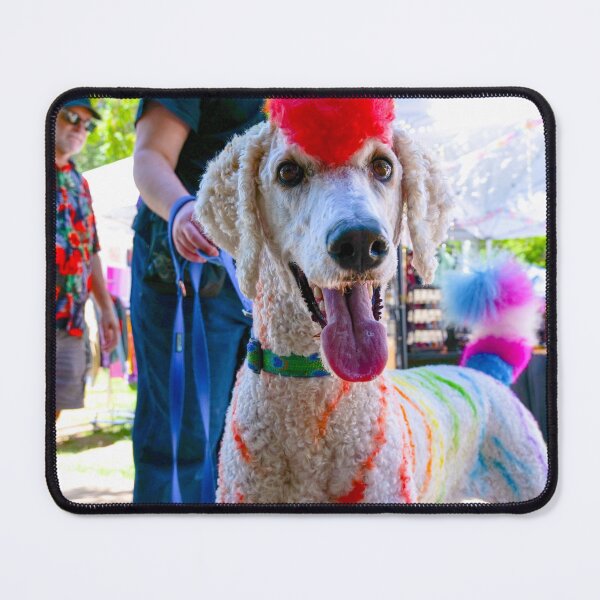 Item preview, Pride Pup designed and sold by NoaHasACamera.
