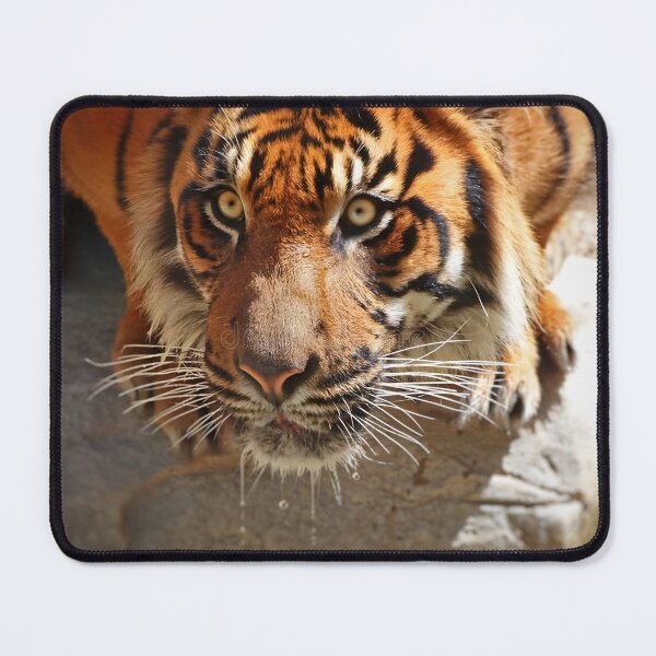 Item preview, Hunter's Gaze designed and sold by Bernard03.