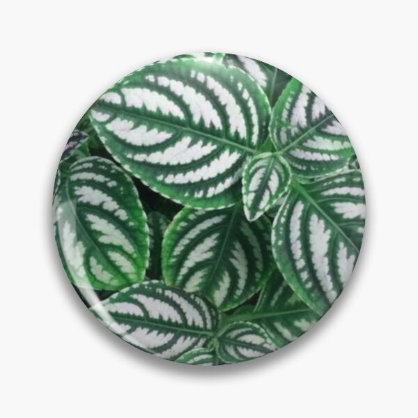 Item preview, Fittonia patterned by nature designed and sold by areezh.