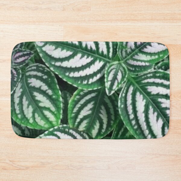 Item preview, Fittonia patterned by nature designed and sold by areezh.