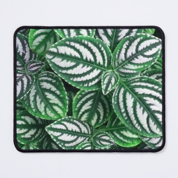 Item preview, Fittonia patterned by nature designed and sold by areezh.