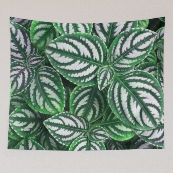 Item preview, Fittonia patterned by nature designed and sold by areezh.