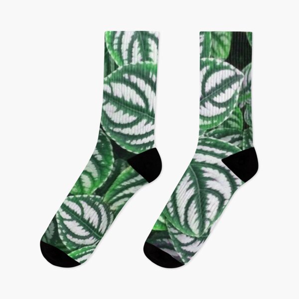 Item preview, Fittonia patterned by nature designed and sold by areezh.