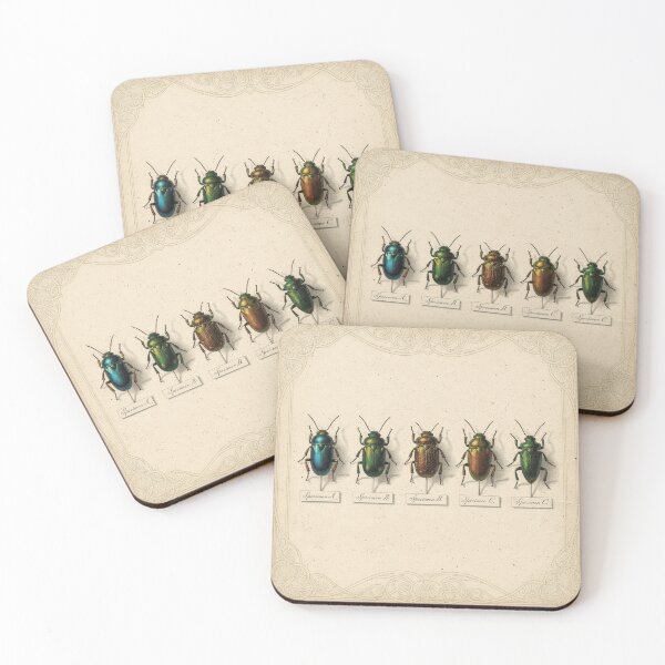 Item preview, Vintage Beetle Specimen Study Natural History Print designed and sold by PictorialWhimsy.