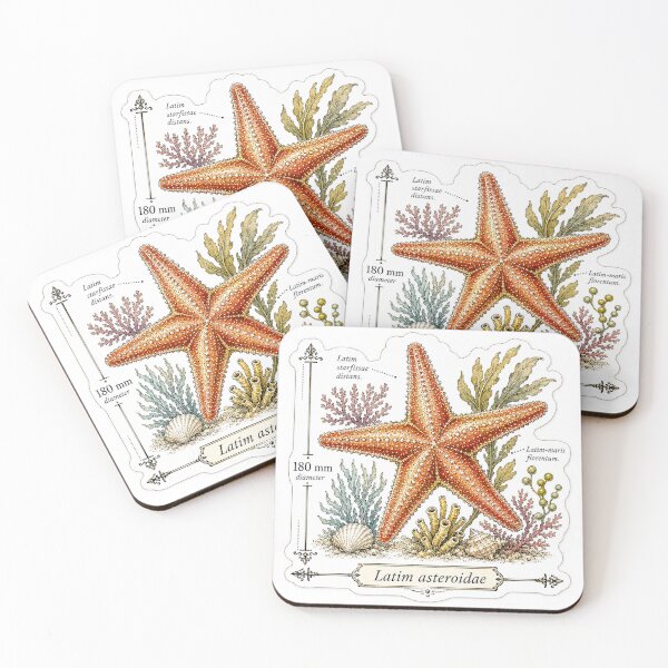 Item preview, Cute Vintage Starfish Sticker - Scientific Sea Star Plate designed and sold by PND7777.