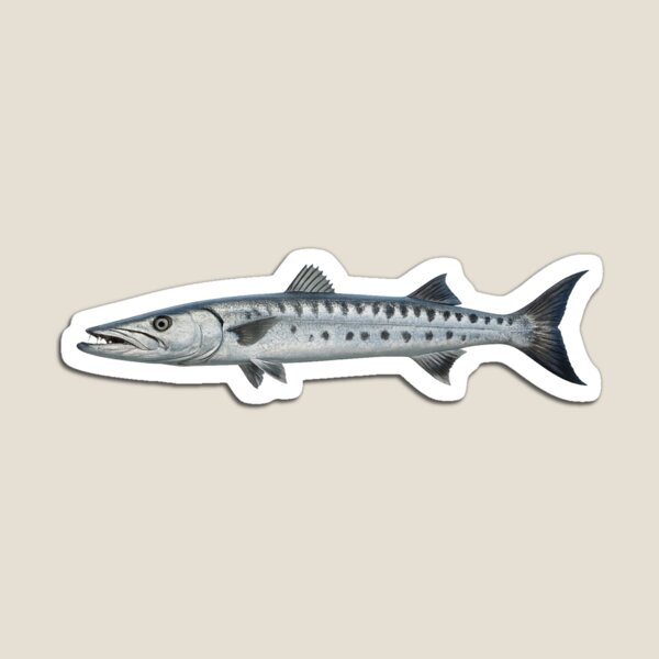 Item preview, Sleek Barracuda designed and sold by Poplartree.