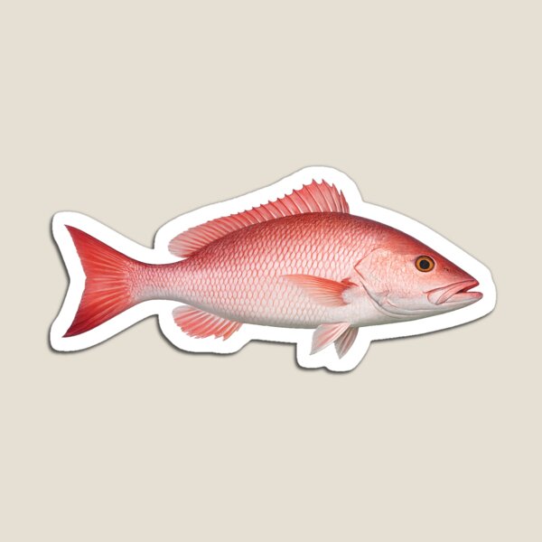 Item preview, Red Snapper designed and sold by Poplartree.