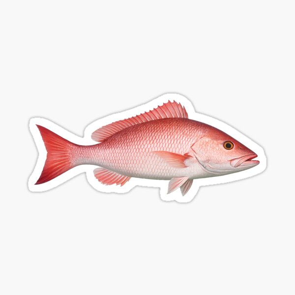 Item preview, Red Snapper designed and sold by Poplartree.