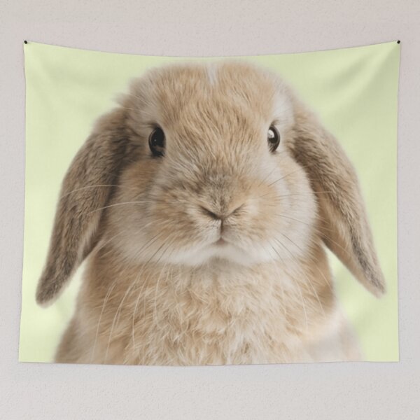 Item preview, Cute Bunny designed and sold by The King's general goods.