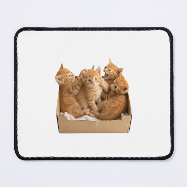 Item preview, Kittens in a box cute kawaii adorable pet baby kitty kitten designed and sold by CheeseBlueprint.