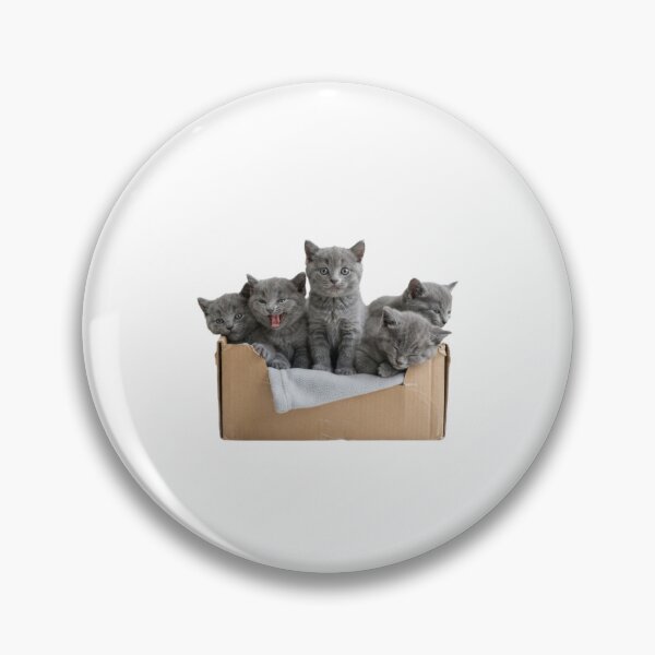 Item preview, Kittens in a box cute kawaii adorable pet baby kitty kitten designed and sold by CheeseBlueprint.