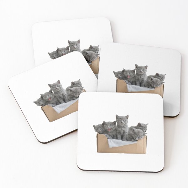 Item preview, Kittens in a box cute kawaii adorable pet baby kitty kitten designed and sold by CheeseBlueprint.