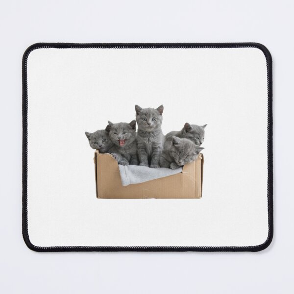 Item preview, Kittens in a box cute kawaii adorable pet baby kitty kitten designed and sold by CheeseBlueprint.