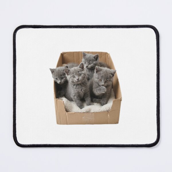 Item preview, Kittens in a box cute kawaii adorable pet baby kitty kitten designed and sold by CheeseBlueprint.