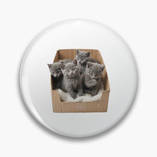 Item preview, Kittens in a box cute kawaii adorable pet baby kitty kitten designed and sold by CheeseBlueprint.