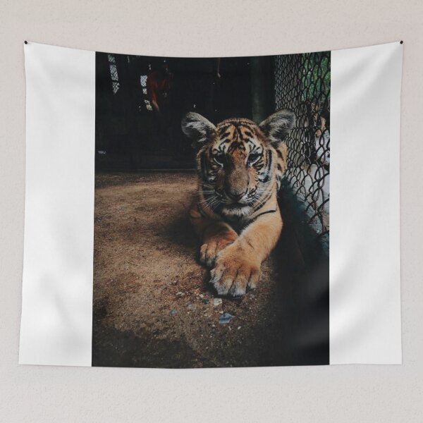 Item preview, Cute Tiger with a Playful Spirit designed and sold by gursalermono.