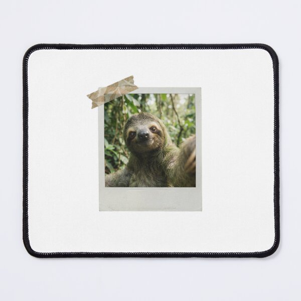 Item preview, Sloth picture vintage camera instant funny meme kawaii cute designed and sold by CheeseBlueprint.