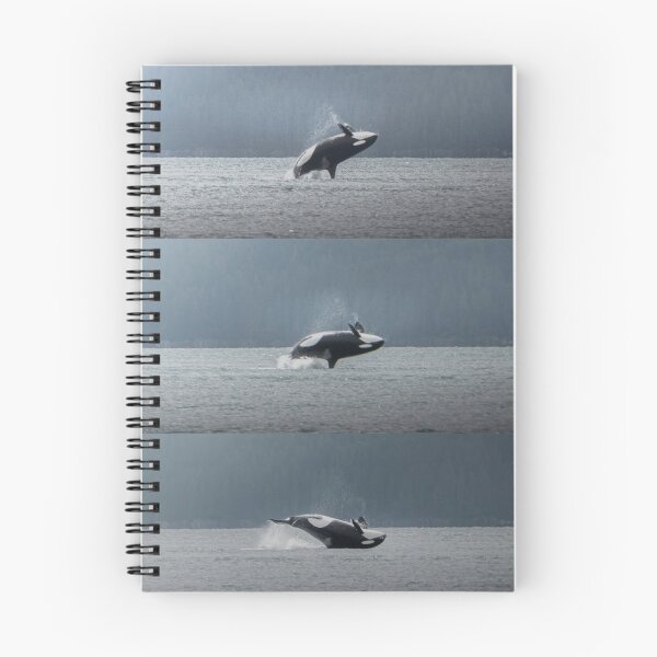 Item preview, Whales Spin Doctors Band aDance Through Waves designed and sold by Sarahsumer.