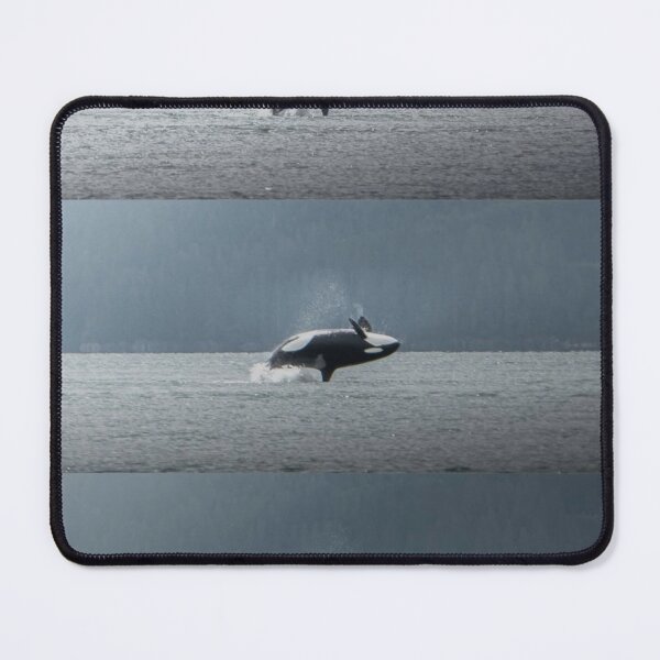 Item preview, Whales Spin Doctors Band aDance Through Waves designed and sold by Sarahsumer.