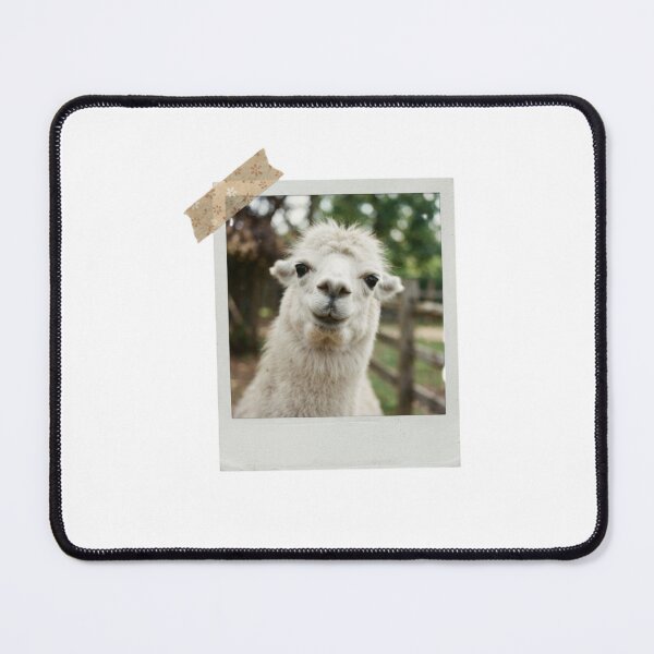Item preview, Llama picture vintage camera instant funny meme kawaii cute designed and sold by CheeseBlueprint.