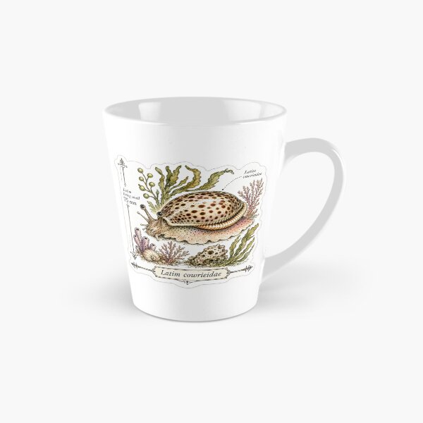 Item preview, Cute Vintage Cowrie Shell Sticker - Scientific Beach Plate designed and sold by PND7777.