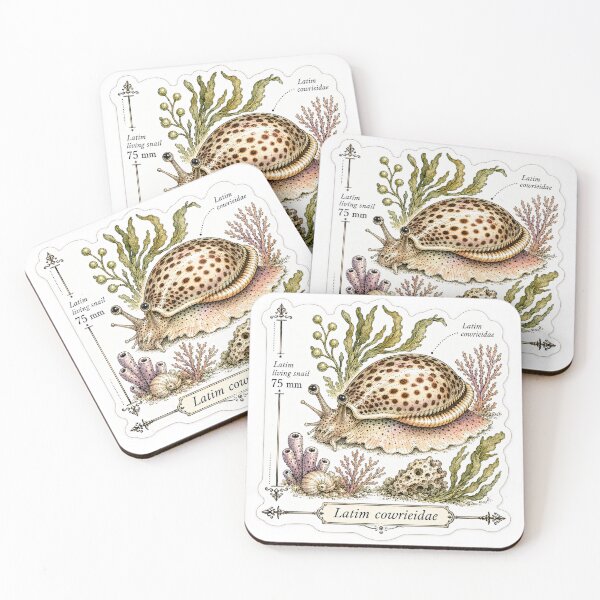 Item preview, Cute Vintage Cowrie Shell Sticker - Scientific Beach Plate designed and sold by PND7777.