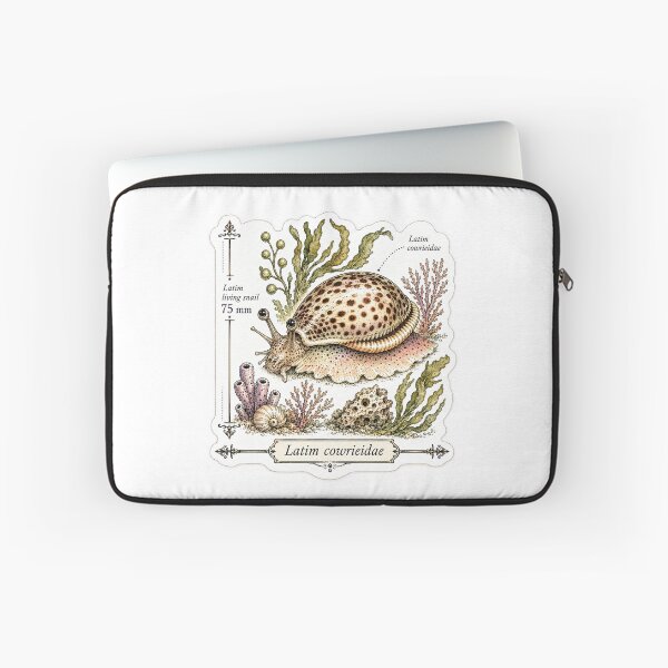 Item preview, Cute Vintage Cowrie Shell Sticker - Scientific Beach Plate designed and sold by PND7777.