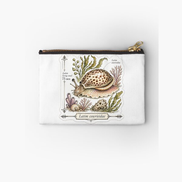 Item preview, Cute Vintage Cowrie Shell Sticker - Scientific Beach Plate designed and sold by PND7777.
