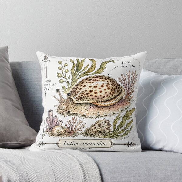 Item preview, Cute Vintage Cowrie Shell Sticker - Scientific Beach Plate designed and sold by PND7777.