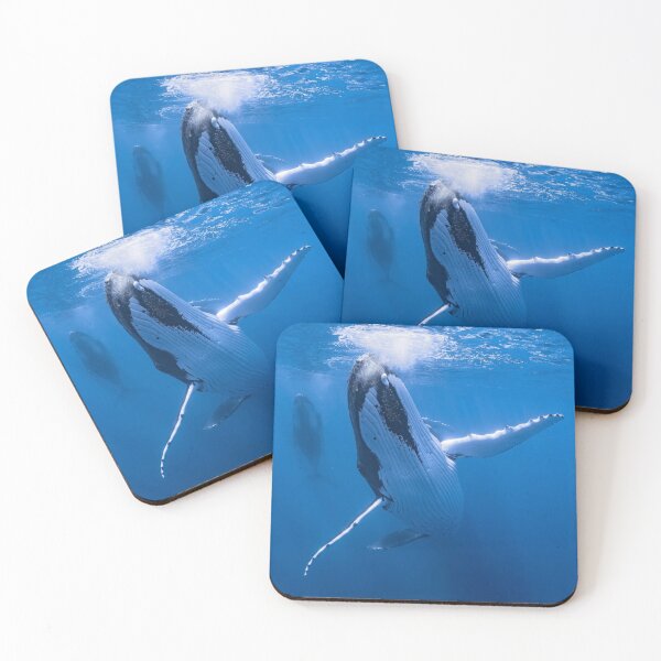 Item preview, Graceful Odd 13 Brewing aWhales Explore Depths designed and sold by Sarahsumer.
