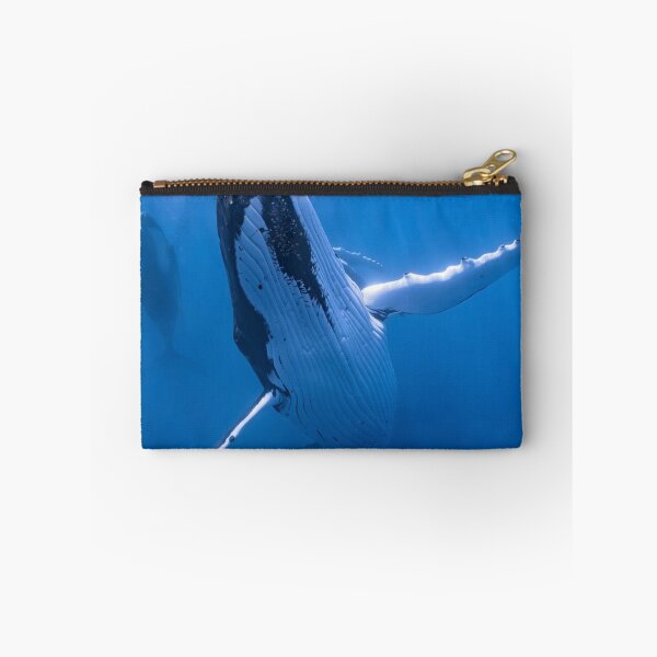 Item preview, Graceful Odd 13 Brewing aWhales Explore Depths designed and sold by Sarahsumer.
