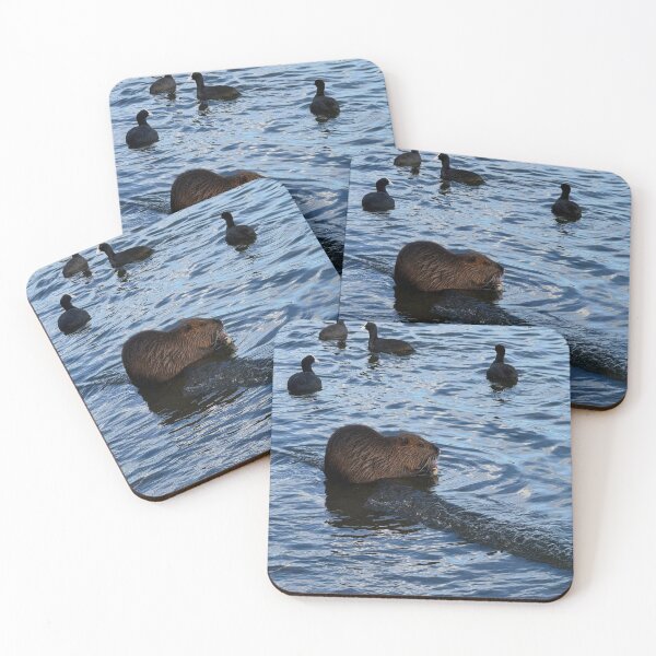 Item preview, Prague Buffalo Wild Wings Cobblestone Stories designed and sold by Harrisonvibes.