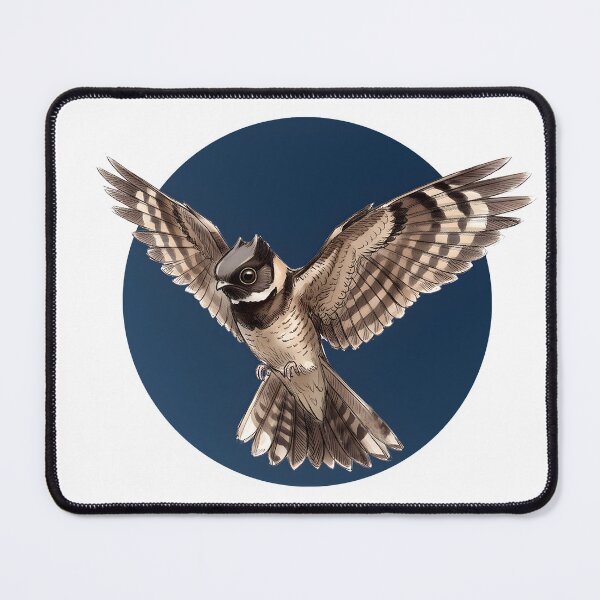 Item preview, Highly detailed scientific illustrations flying action of Great Eared Nightjar in a vintage natural history book style designed and sold by wonderisland.