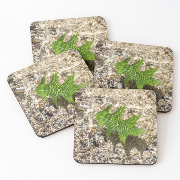 Item preview, Kelly Green Oak Leaf Afloat in Clear Water designed and sold by Georgia Mizuleva.