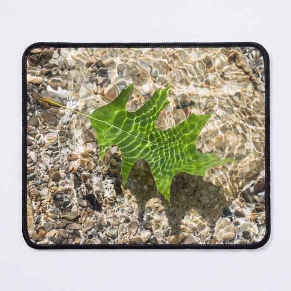 Item preview, Kelly Green Oak Leaf Afloat in Clear Water designed and sold by Georgia Mizuleva.