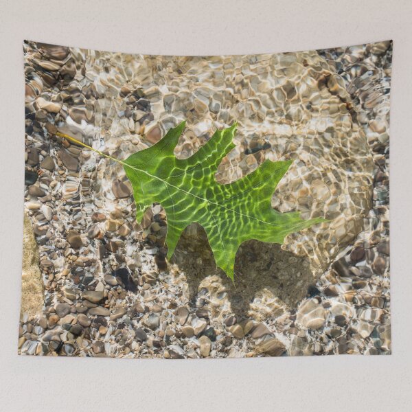 Item preview, Kelly Green Oak Leaf Afloat in Clear Water designed and sold by Georgia Mizuleva.