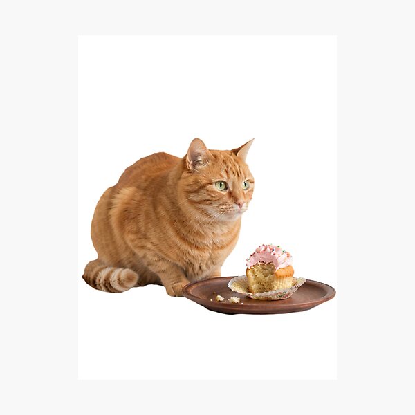 Item preview, Cat cupcake food meme memes funny cute kawaii  designed and sold by CheeseBlueprint.