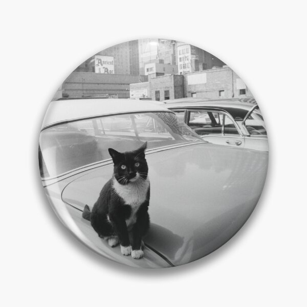 Item preview, Cats of New York, Cat sitting on car with skyscrapers in the distance vintage black and white photographic art print designed and sold by Astrid Arkhangelsky.