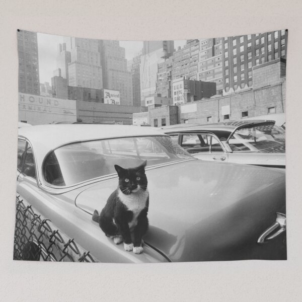 Item preview, Cats of New York, Cat sitting on car with skyscrapers in the distance vintage black and white photographic art print designed and sold by Astrid Arkhangelsky.
