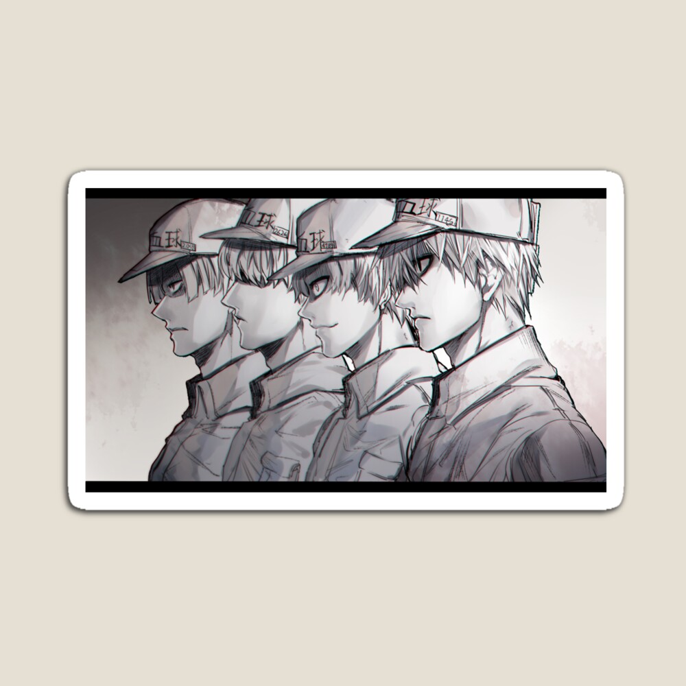 Cells at Work! – White Blood Cell 白血球 XEARO - Illustrations ART street