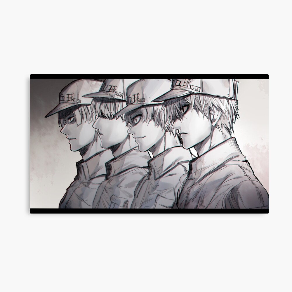 White Blood Cell - Cells at Work [Hataraku Saibou] by StarzyPowerz on  DeviantArt