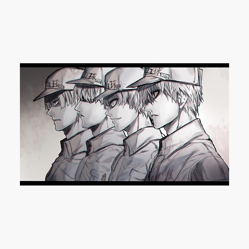 Hataraku Saibou - Cells At Work Art Board Print for Sale by CherylKato