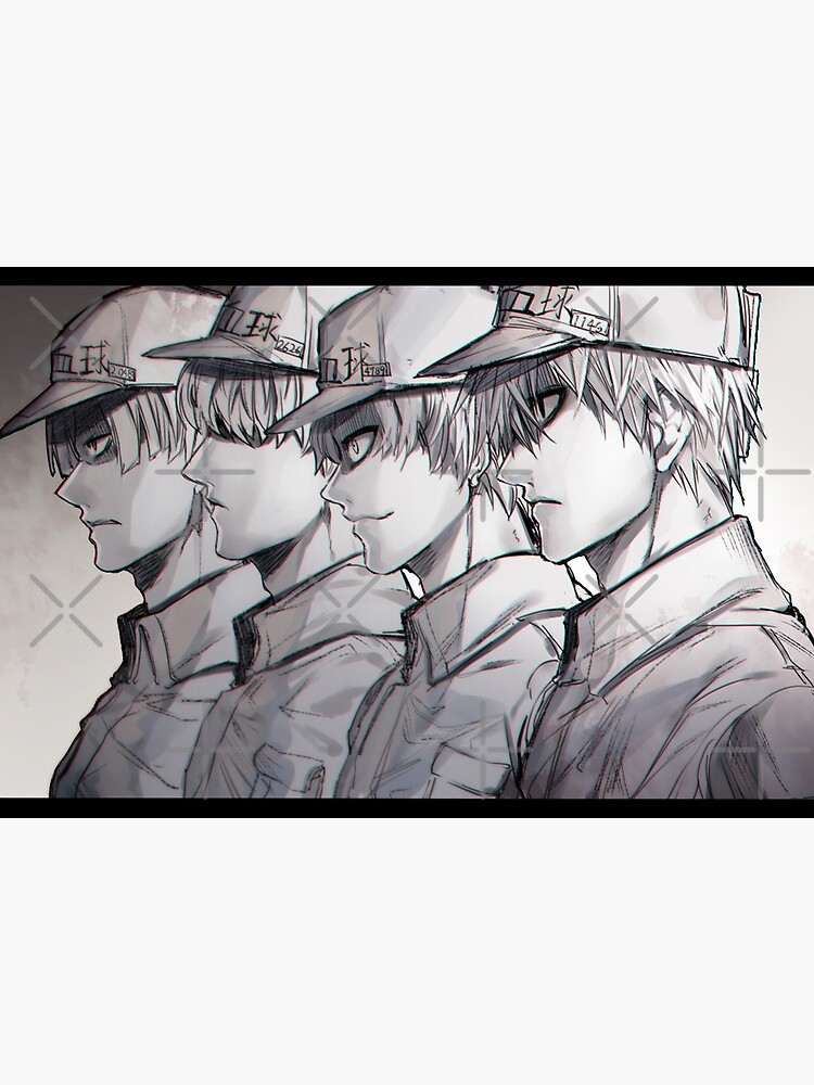 White Blood Cell, Hataraku Saibou (Cells at Work) Art Board Print for  Sale by Jake Hunter