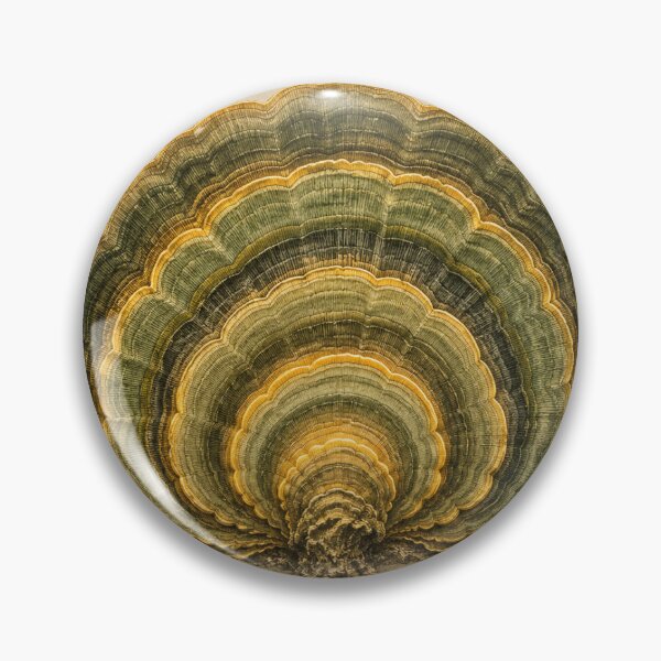 Item preview, Glowing Turkey Tail Bracket Fungi Specimen Print — Luminous Vintage Mycology Art designed and sold by Brackenlume Studio.