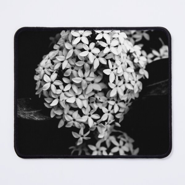 Item preview, black and white floral macro photograph featuring tiny flowers with a soft bokeh background. designed and sold by Dinasworld.