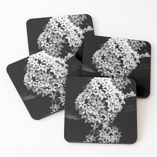 Item preview, black and white floral macro photograph featuring tiny flowers with a soft bokeh background. designed and sold by Dinasworld.