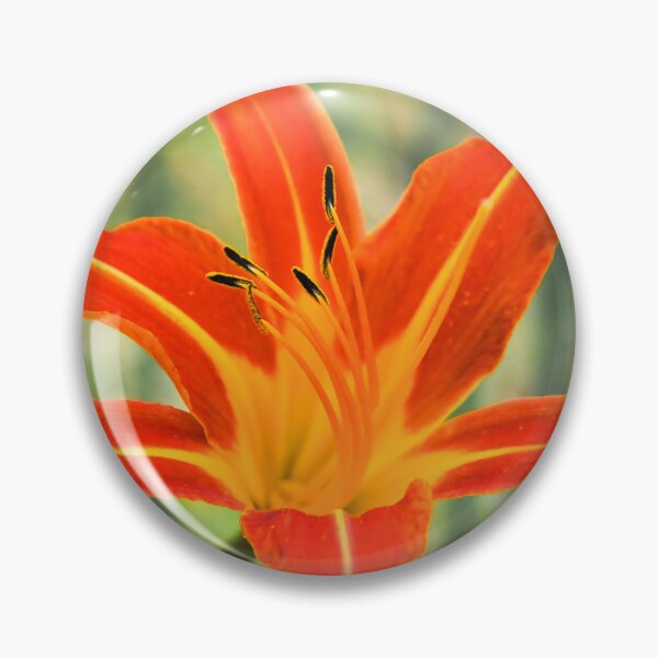 Item preview, Orange Lily designed and sold by JEZ22.